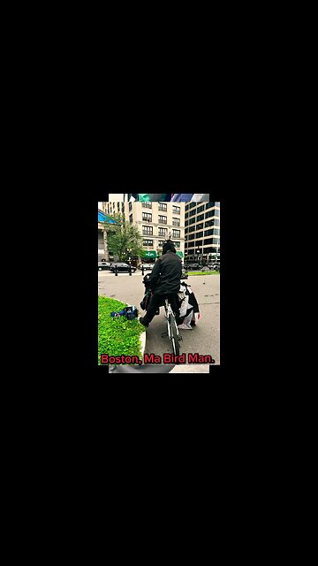 I found the Bird Man