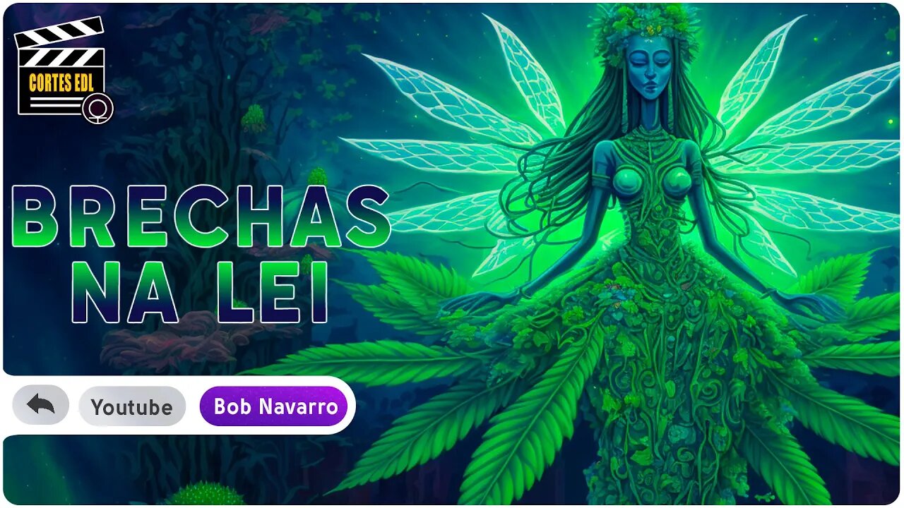 Os meios para conseguir cannabis medicinal no Brasil