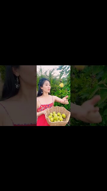 What's your favorite recipe with figs?#backyardfig #figs #fig #fruit#figfruit #无花果 #backyardlife