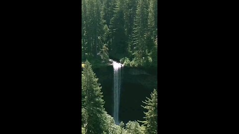 Amazing Nature