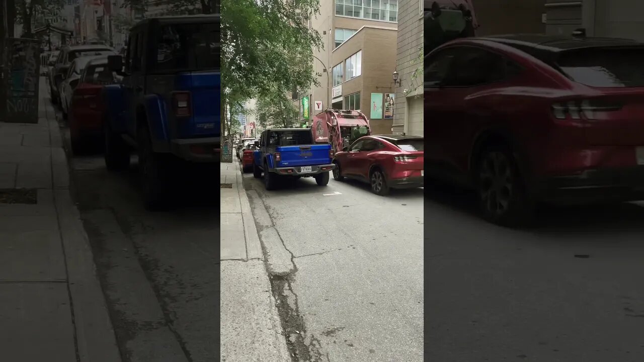 Trash garbage collector in action
