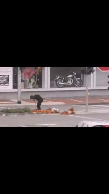 NRW: Blumen mögen die neuen "Fachkräfte" anscheinend auch nicht