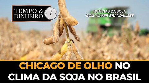 Chicago de olho no clima da soja no Brasil