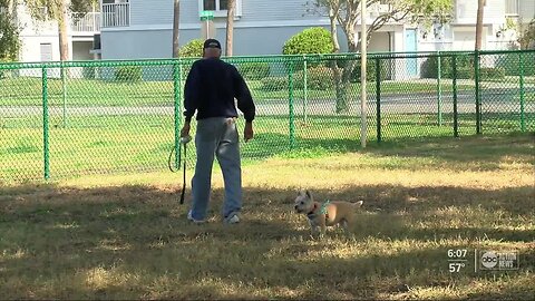 Treasure Island's new dog park is the reason why some residents moved away