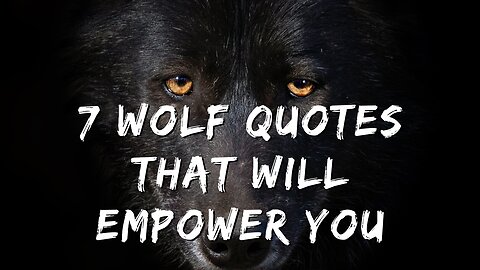 7 Wolf Quotes That Will Empower You