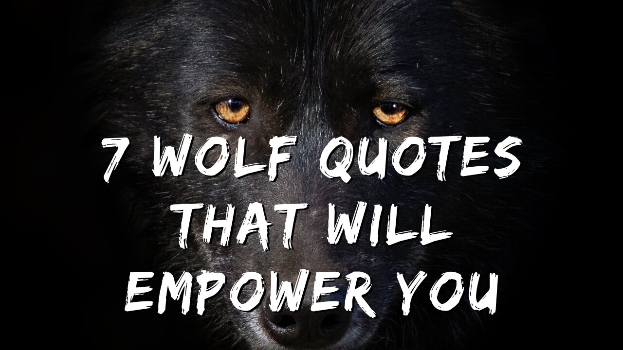 7 Wolf Quotes That Will Empower You