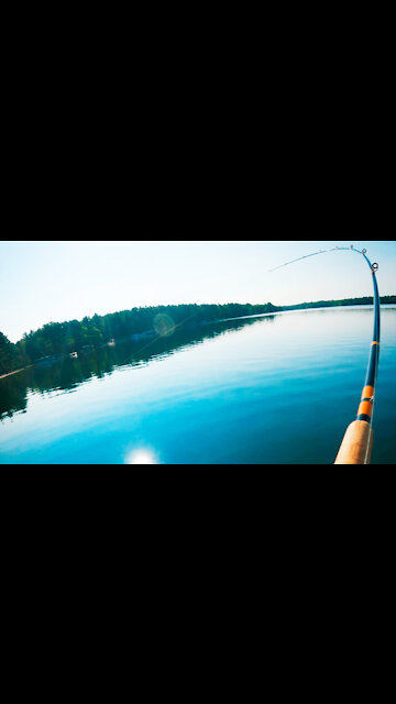 The MOST SATISFYING HOOKSET of all time!