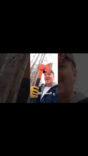 Tree fell across my path. Axe broke. #shorts #tree