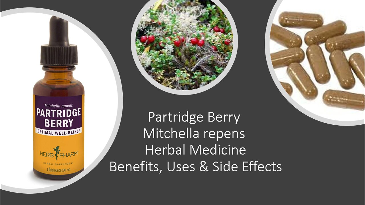 Partridge Berry - Herbal Medicine - Benefits, Uses & Side Effects