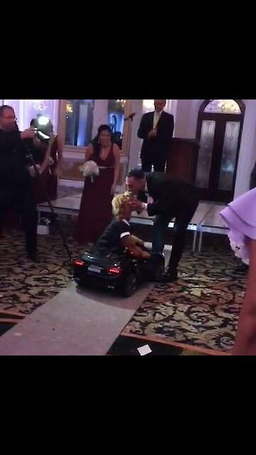 Ring-bearing dog comes down the aisle in style