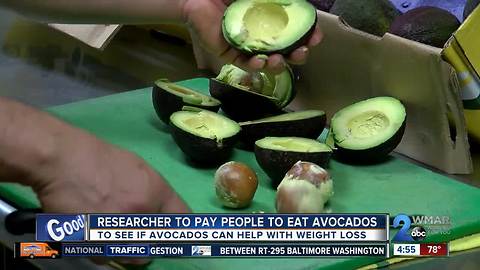 Avocado weight loss study