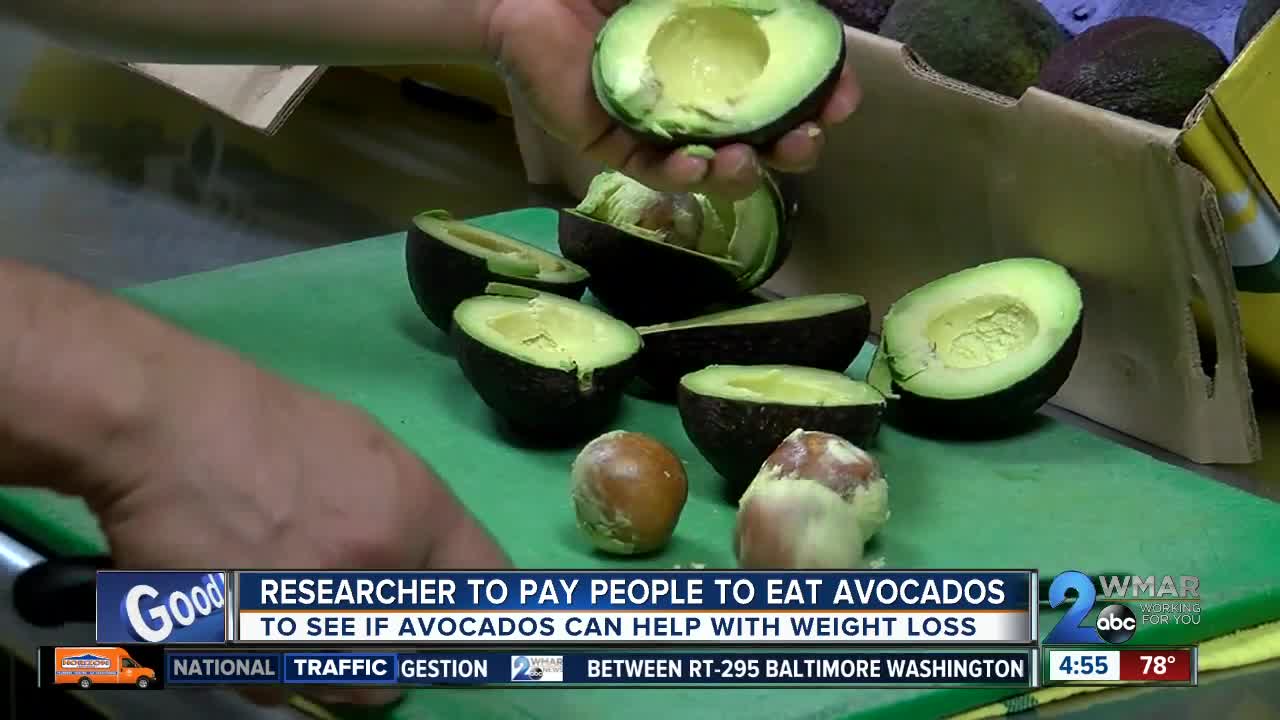 Avocado weight loss study