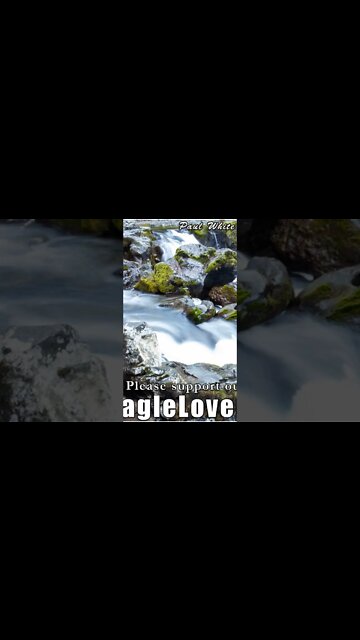 Heavenly Hosts of the Avatars of the New Earth