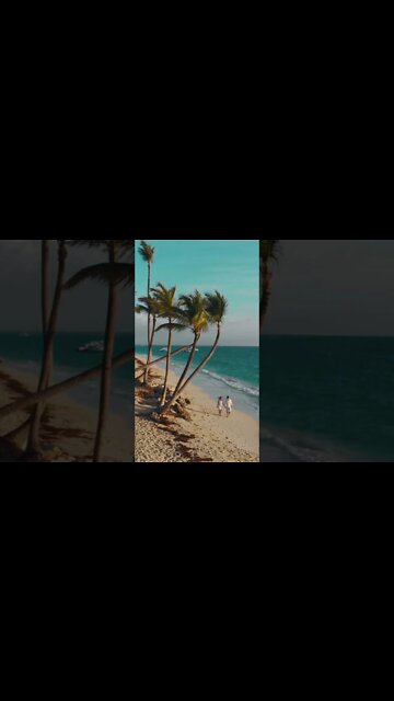 #Shorts #Travel #Tourist #Joy #Visit #Maldives #Happiness