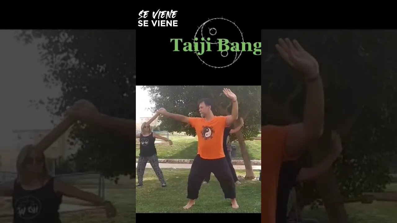 Qi gong con bastón corto, Taichi Bang, próximamente Málaga #shorts