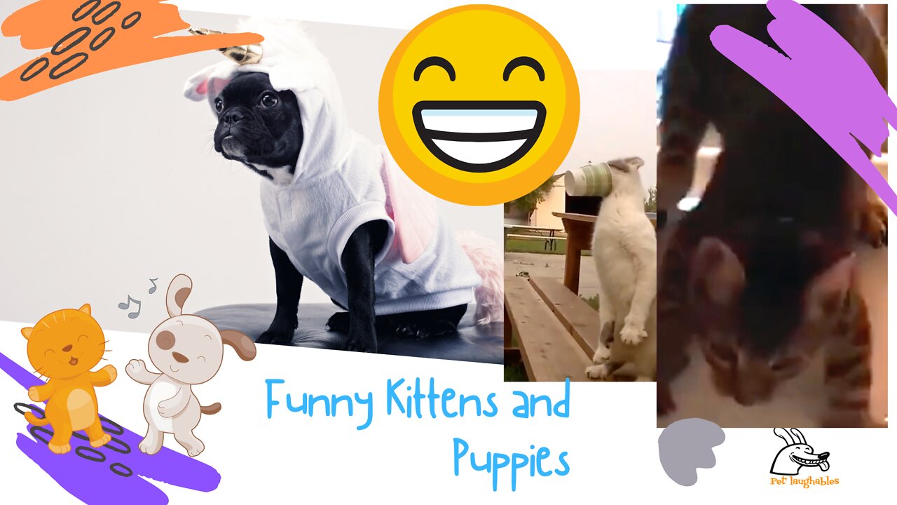 🤣 Funniest: 🐶 Dogs 😻 Cats and 👶 Babies - LOL Funny Pets, Animals, and Baby Videos 😇