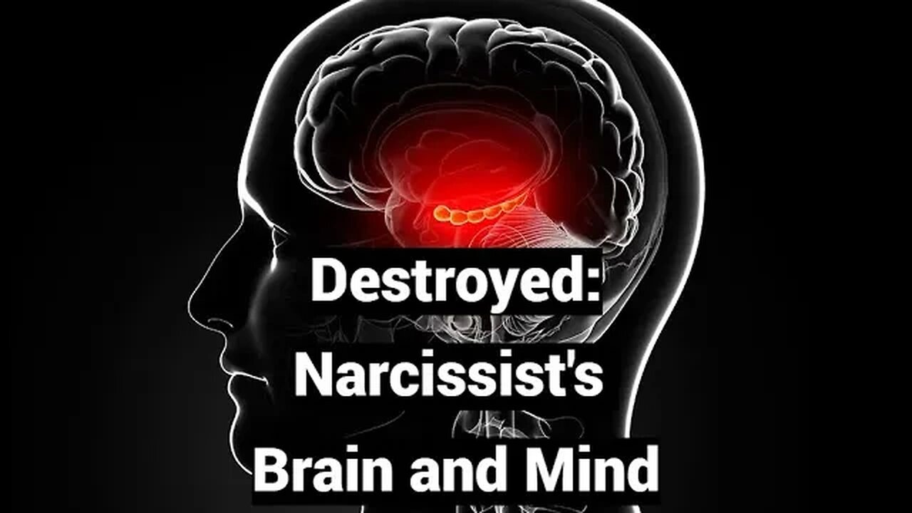 Destroyed: Narcissist's Brain and Mind (Infant Amnesia, Psychotic Grandiosity)