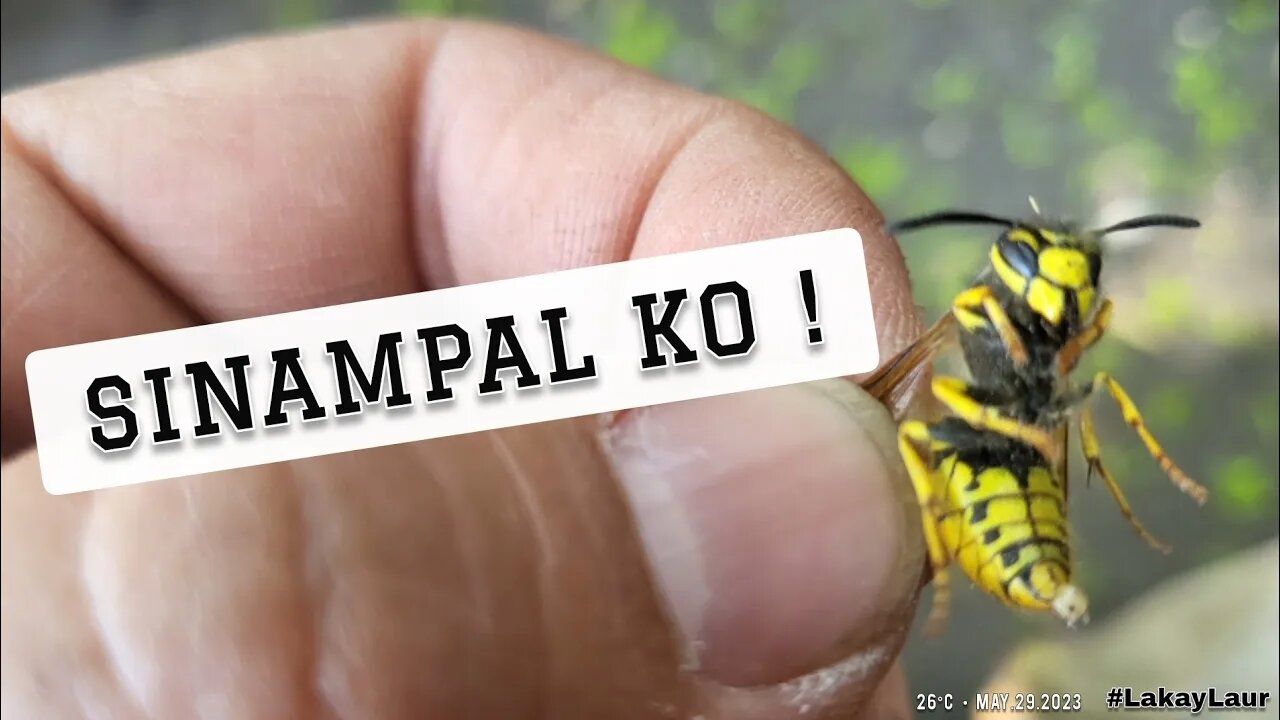 SINAMPAL KO ! (Putakti) ♣︎ Buhay Canada , Buhay Amerika • Lakay