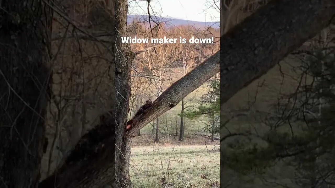 Widow-maker goes down!!!! #farmlife