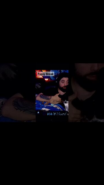 Puppy Break #puppies #gaming #couchgaming