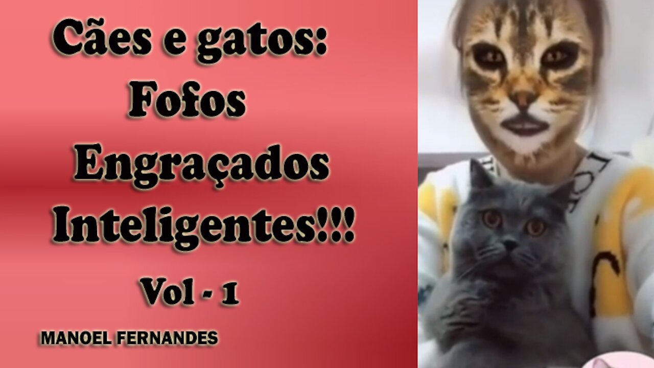 Cães e gatos: Fofos, engraçados e inteligentes!!! Vol - 1