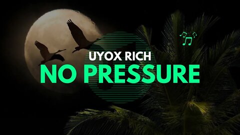 Uyox Rich - No Pressure (official Music)