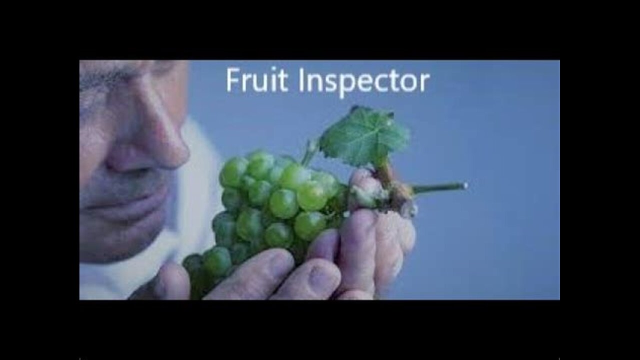 Fruit Inspector