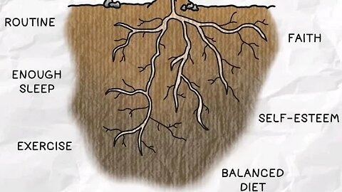 A HEALTHY MINDSET is rooted into these NUTRIENTS. ENTREPRENEURSHIP & PERSONAL DEVELOPMENT goals