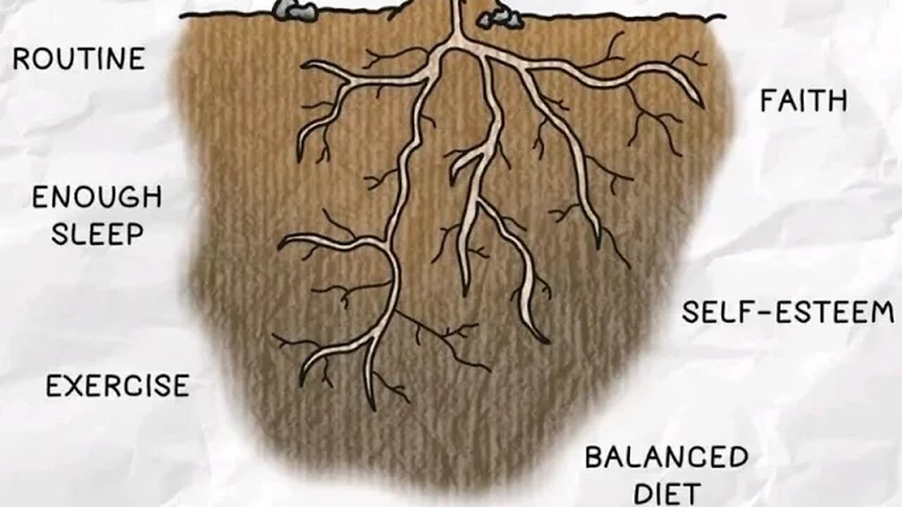 A HEALTHY MINDSET is rooted into these NUTRIENTS. ENTREPRENEURSHIP & PERSONAL DEVELOPMENT goals