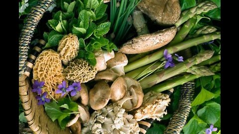 Johnathan Ramirez: Urban/Suburban Foraging And Gardening Community Building