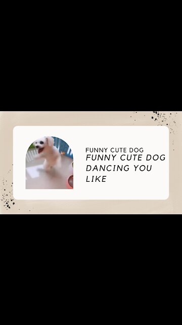 FUNNY CUTE DANCING DOG
