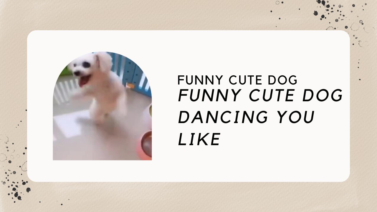 FUNNY CUTE DANCING DOG