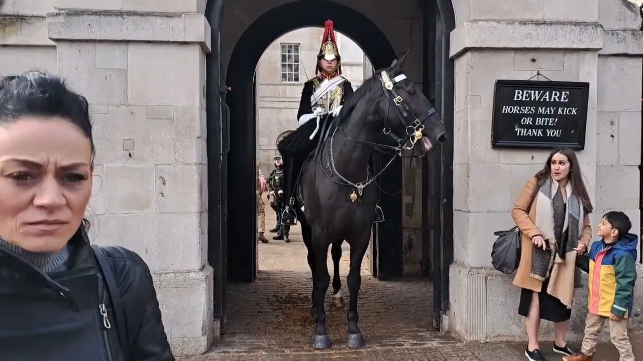 Horse makes a noise tourist runs #horseguardsparade