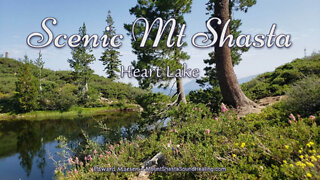 Heart Lake, part 2 - Scenic Mt Shasta