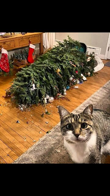 Good night to all! 😴