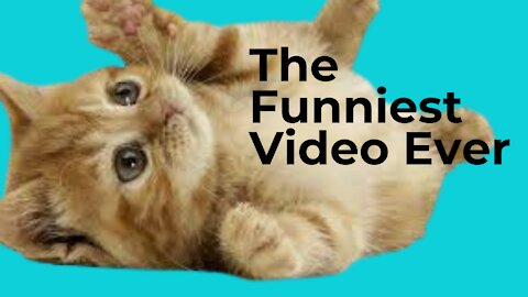 The Funniest Video Ever {Must Watch}