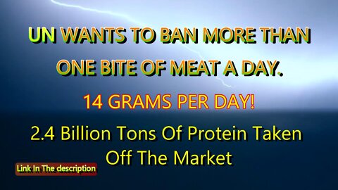 UN SAYS ONE BITE OF MEAT A DAY - 14 GRAMS - EAT INSECTS!!