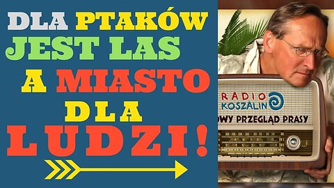 Cejrowski: dla ptaków jest las, a miasto dla ludzi! 2018/06/02 Radio Koszalin