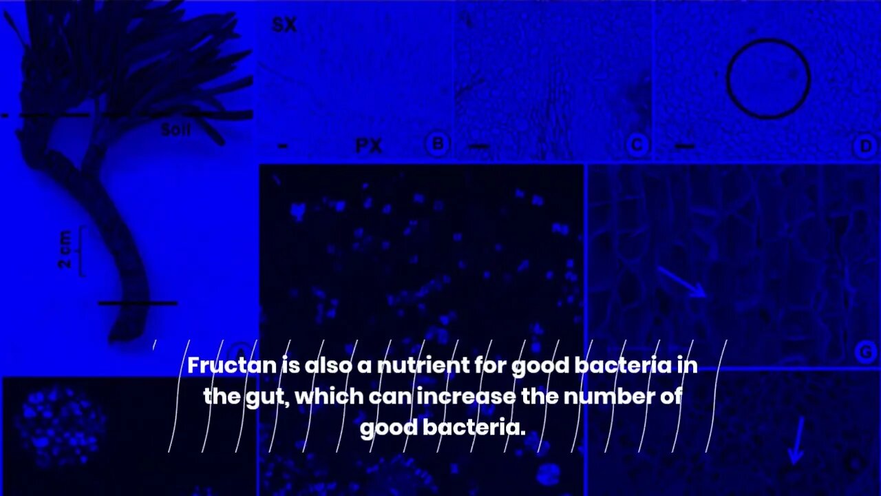 What happens if you eat too much onion?