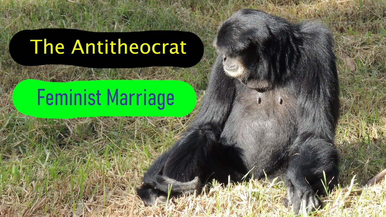 Feminist views of marriage are bullshit.