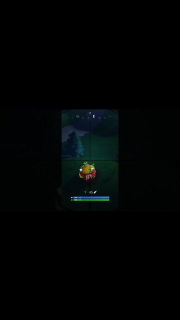 Upside down Plane snipe , fortnite