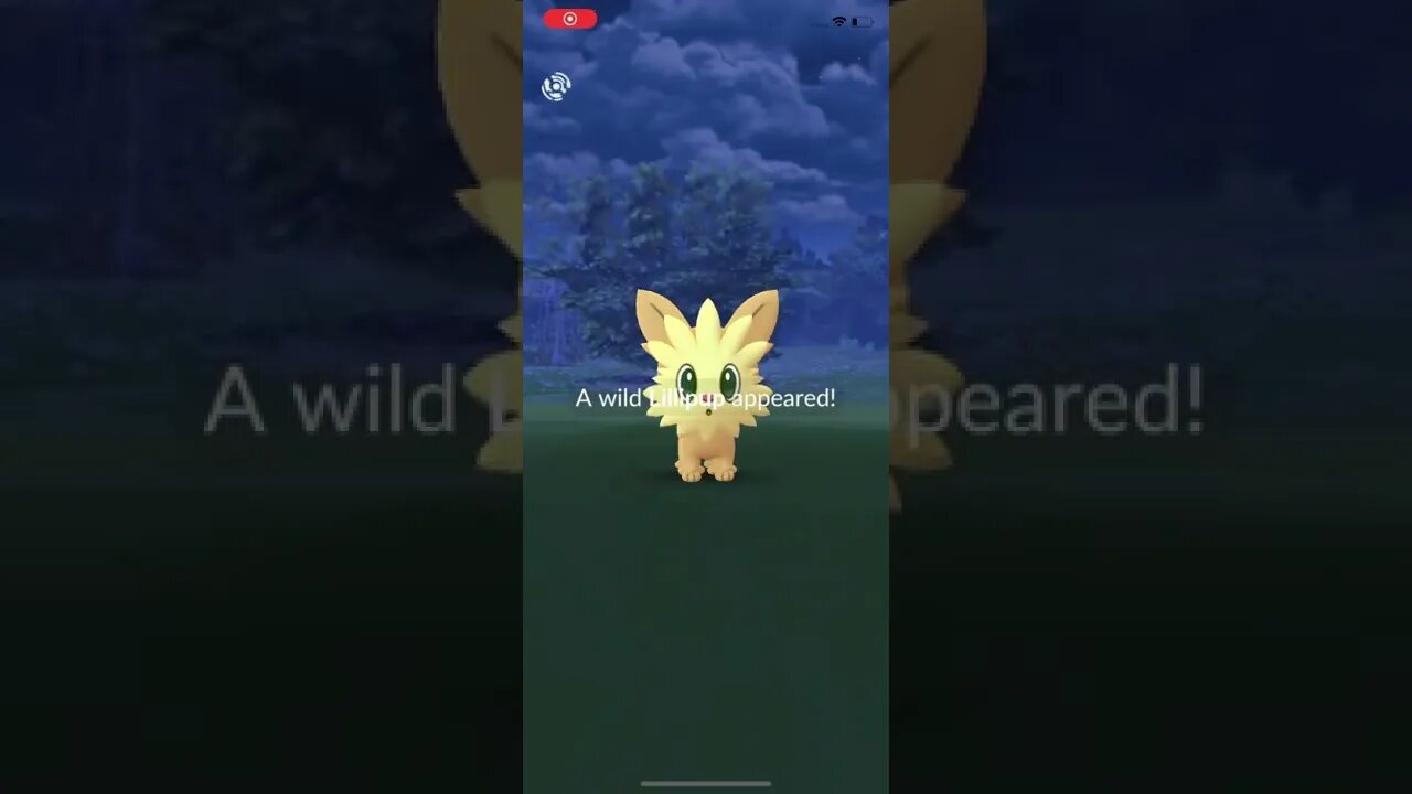 Shiny Lillipup