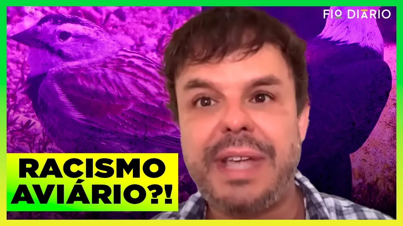 AVES DEIXARÃO DE TER NOMES DE FIGURAS COM HISTÓRIA "RACISTA E COLONIALISTA", NOS EUA