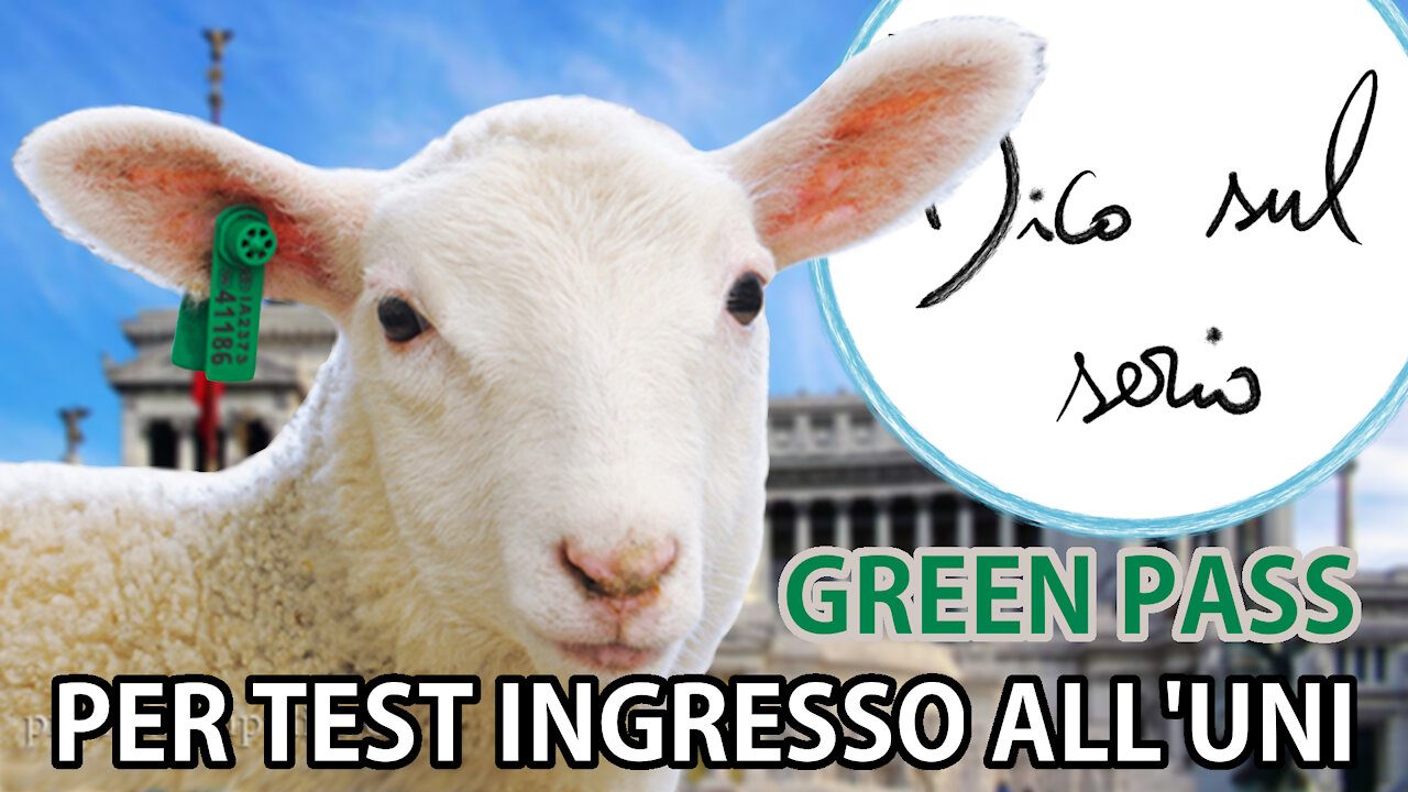 Solo PECORE col GREEN PASS ai test ingresso a VETERINARIA. Proposta esclusione dal SISTEMA SANITARIO