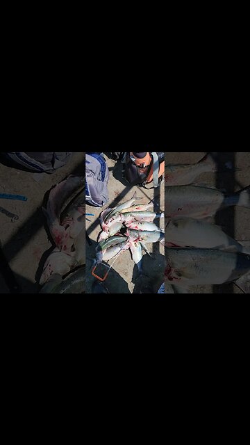 Nice Fishing Dayyyyyyy😄