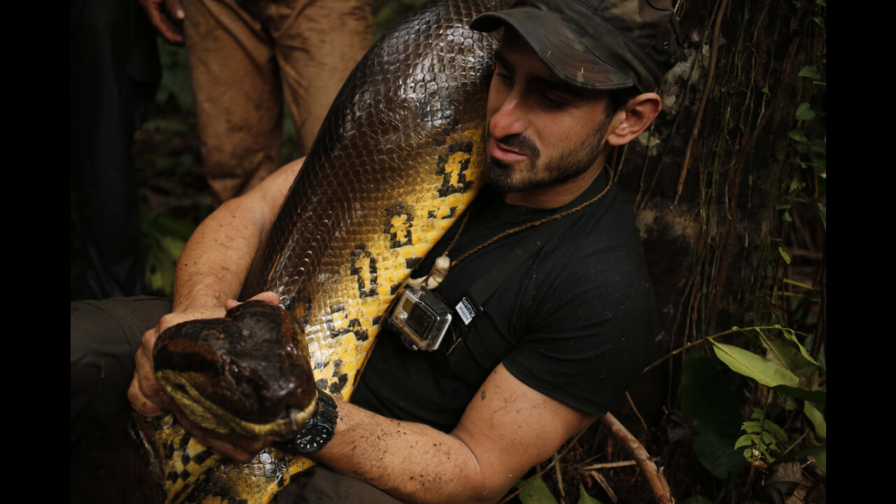 Anaconda man speaks: Why I wanted to be eaten alive