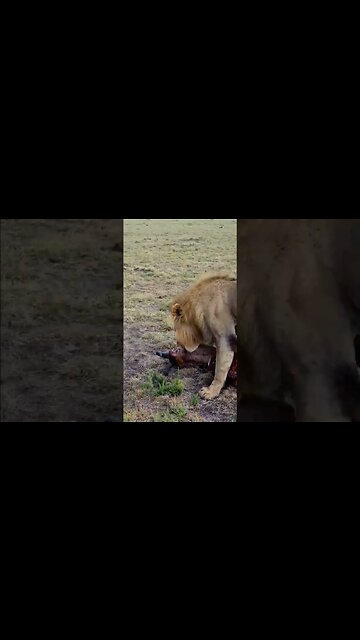 Takeaway... #shorts | #ShortsAfrica | #Septdailyshorts