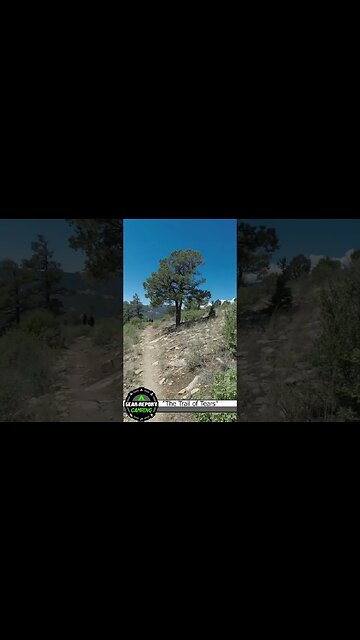 No shade for you! Tooth Ridge Trail at Philmont Scout Ranch