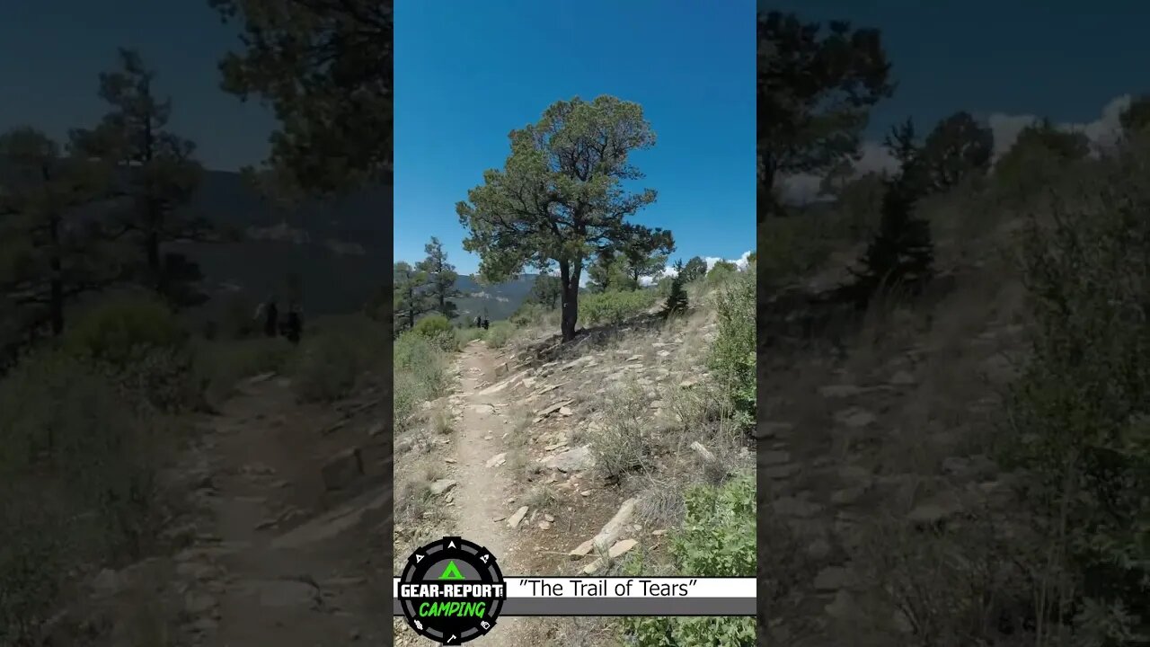 No shade for you! Tooth Ridge Trail at Philmont Scout Ranch