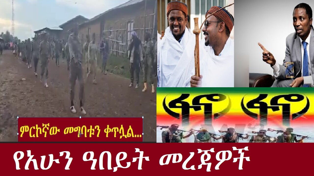 ምርኮኛው መግባቱን ቀጥሏል! የአሁን ዓበይት መረጃዎች Nov 21,2024